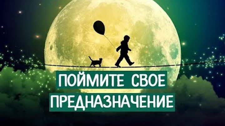 Ее главное предназначение. Предназначение в жизни. Найти свое предназначение. Предназначение в жизни. Картинки на тему предназначение человека.