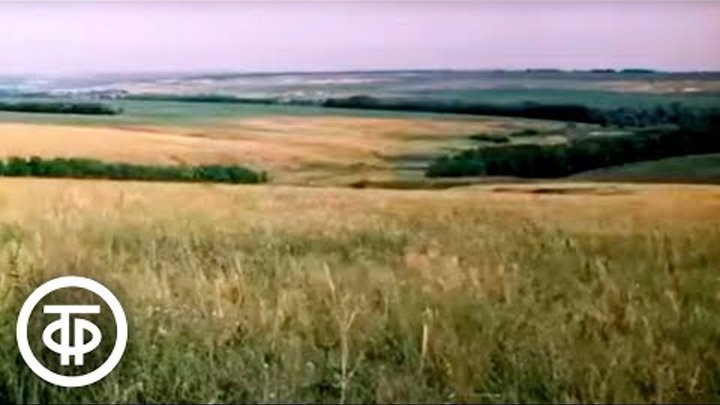 САРКАЗМОМ ПО МАРАЗМУ | Группа на OK.ru | Вступай, читай, общайся в ...