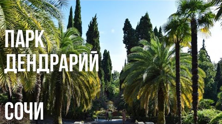Дендрарий сочи вход где находится Парк Дендрарий // Сочи // Краснодарский край
