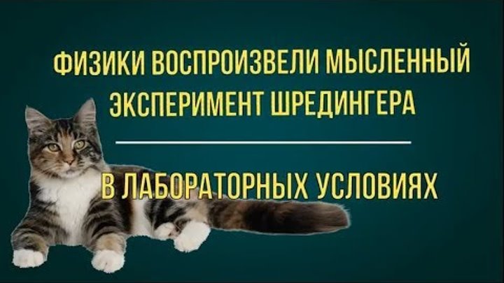 проиграл картинка. мысленно обнимаю тебя картинки. сверхъестественное люцифер приколы. ставки на спорт приколы. автор где прода.