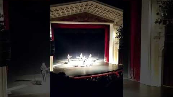 Калины куст ярослав