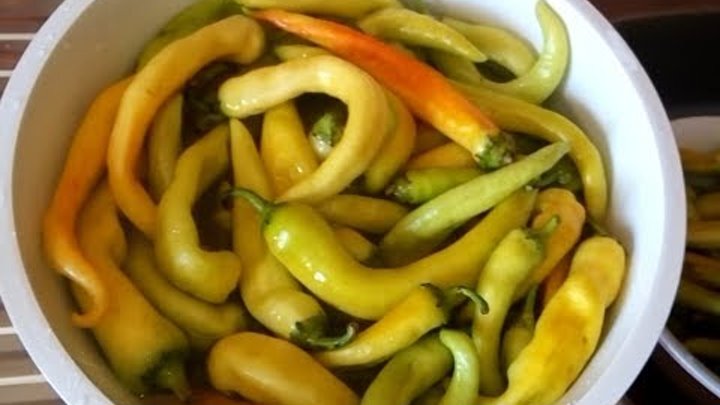 Как мариновать перец цицак. Сорт горького перца цицак. Армянский горький перец цицак. Цицак по-армянски. Острый перец в бутылке рецепт цицак.