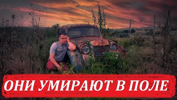 ОНИ УМИРАЮТ В ПОЛЕ.Ретро музей в открытом поле.