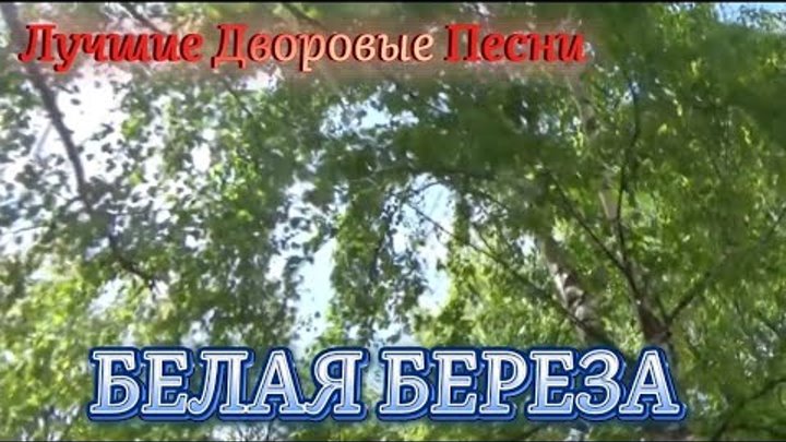 Дворовые песни белая береза. Дворовые песни белая береза. Белая берëза песня перибор. Белая берёза я тебя люблю на гитаре. Дворовые песни белая береза.