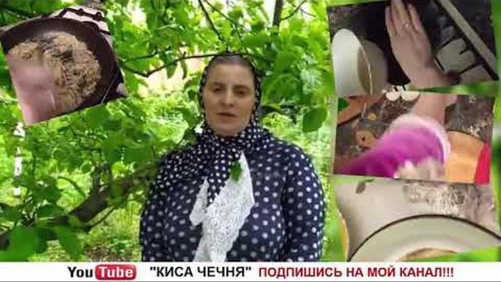 дайси блоггер чечня. киса чечня. киса чечня стройторг. киса чечня ютуб. киса чечня стройторг.