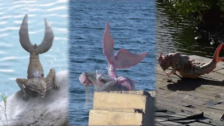 Top 3 Impresionantes Sirenas captadas en video 2021 Real o mito?