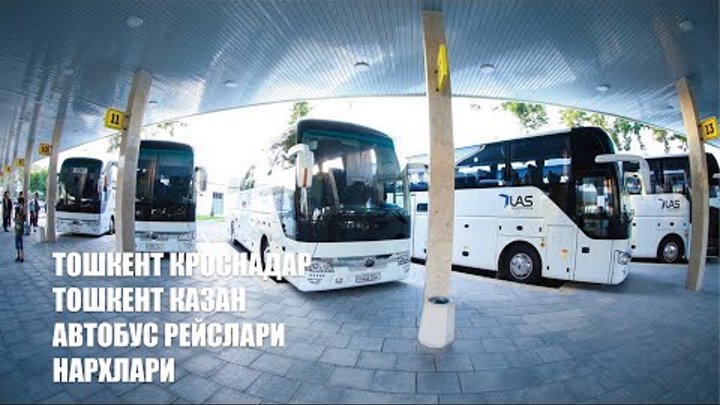 #ташкент #краснодар #казань #автобус