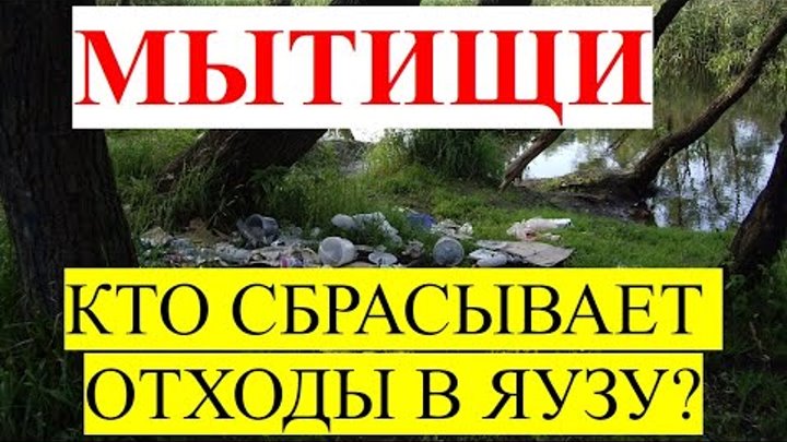 Мосводоканал | Сбросы в Яузу и запах канализации | Кто сбрасывает отходы в Яузу в Мытищах?