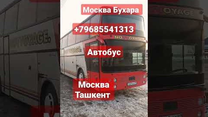 Москва Ташкент автобус Худжанд | Санкт Петербург Ташкент автобус #sh ...