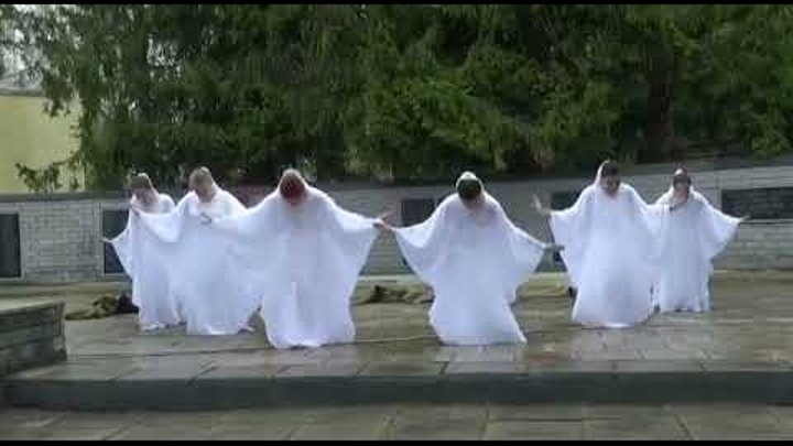 Танец журавли в детском саду. Танец журавли девушки. Танец журавли девушки. Костюм белых журавлей. Вальс журавли.