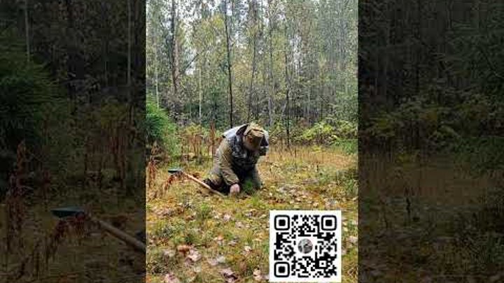 9 октября2️⃣0️⃣2️⃣3️⃣ семья Мачневых высадила кедры в Вологодском ле ...