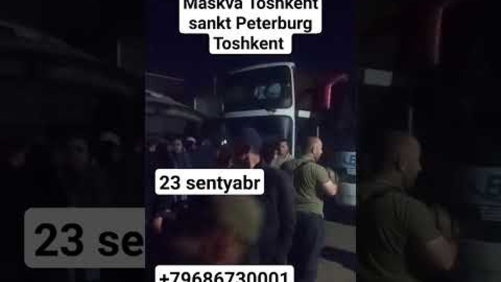 москва-ташкент автобус прямой рейс #москва #avtobus #ташкент #бухоро