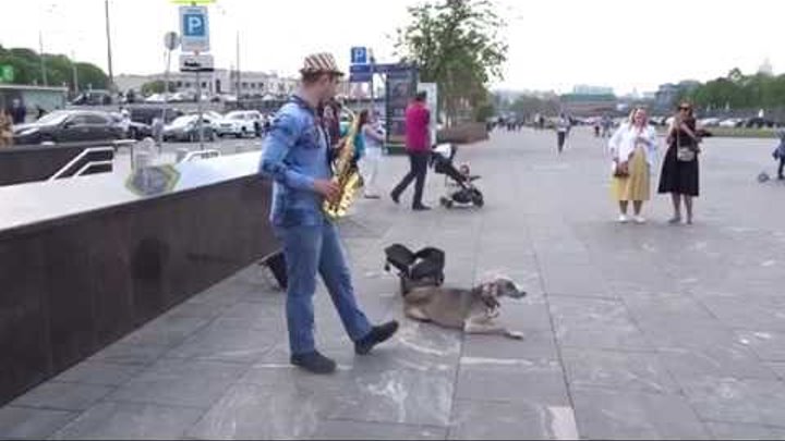 Уличный саксофонист, играет у парка Музеон