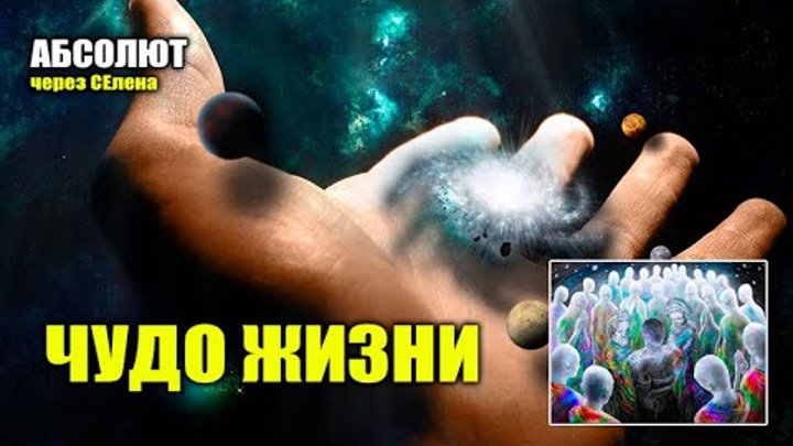 послание отца абсолюта через марту возрождение. сайт возрождение отец абсолют. возрождение отец. отец абсолют кто это. возрождение отец.