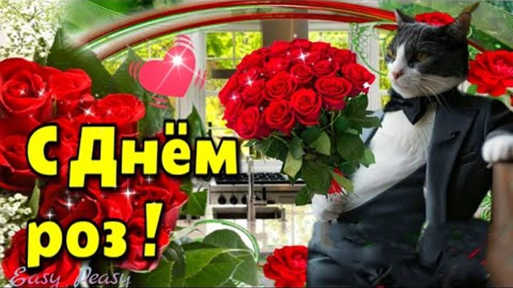 💐21 мая  Всемирный День Роз💗Красивая музыкальная открытка