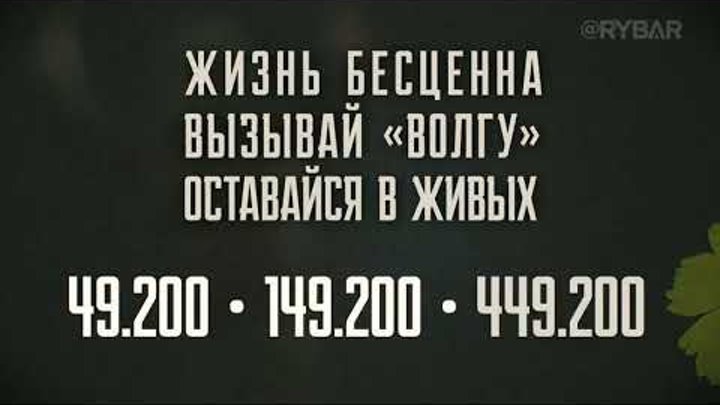 вызывай волгу