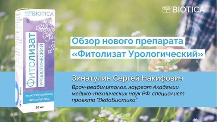 Обзор нового препарата "Фитолизат Урологический"