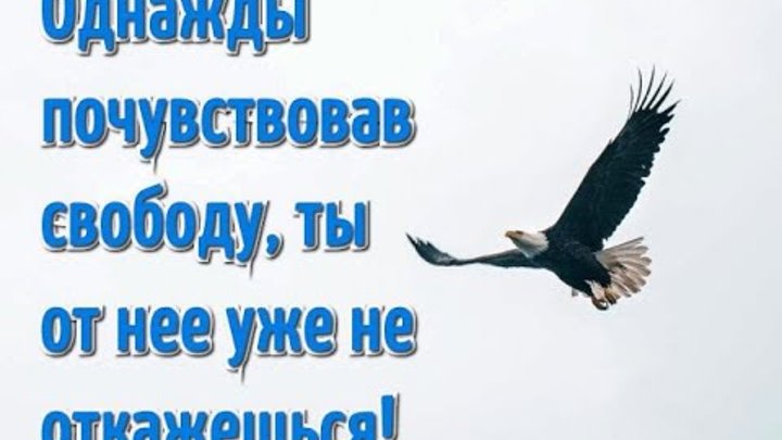 Пейн мем. Чувство свободы цитаты. Не чувствую свободы. Статус про свободу. Не чувствую свободы.