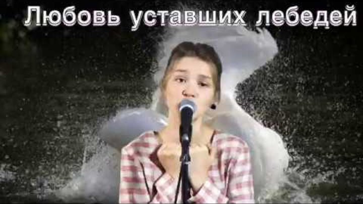 Кто поет песню любовь уставших лебедей. Фабиан лебеди. любовь уставших лебедей караоке.