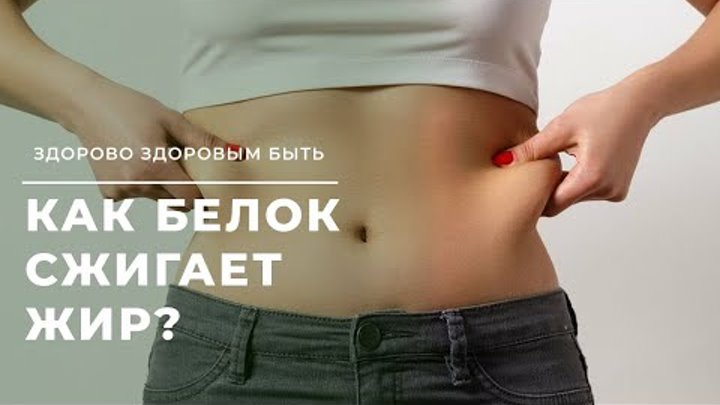 2 яичных белка перед сном. Напиток для сжигания жира за ночь. Белок на ночь сжигает жиры правда или. Сжигание жира. Белок на ночь сжигает жиры правда или.