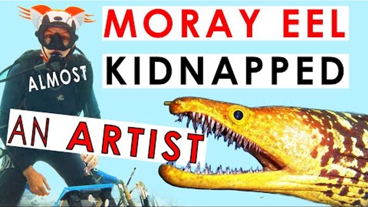 Daily scuba news. Scuba girl kidnapped by moray eel. International art.