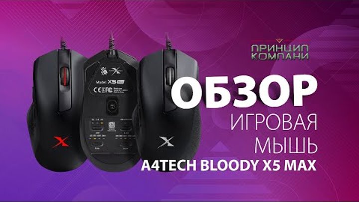 Обзор Игровая мышь A4Tech Bloody X5 Max