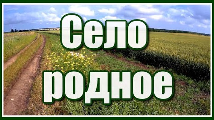 Люблю всем сердцем отчие края, люблю тебя, село моё родное...