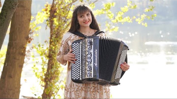 Гармонь и гармонист 19 века. Гармонист виктор. Человек с гармошкой. Николай кузьмищев гармонист. Сергей шиндин гармонист.