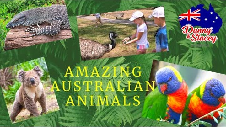 Wildlife park and Australian animals\ Парк дикой природы и животные  ...