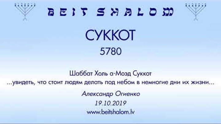 СУККОТ 5780 «УВИДЕТЬ, ЧТО СТОИТ ЛЮДЯМ ДЕЛАТЬ ПОД НЕБОМ...»  А.Огиенко