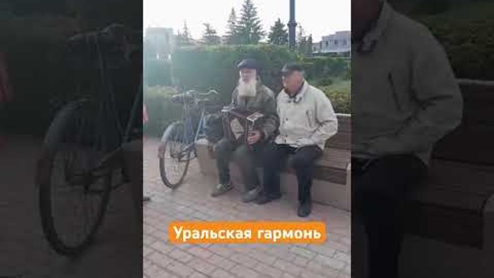 Уральская гармонь #казак #уральск #яик #гармонь #гармоньпесни