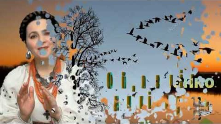 ой летите гуси. ой летите гуси. гуси лебеди ноты. ноты песни летят утки и два гуся. летят утки текст.