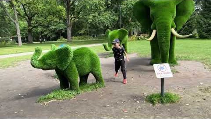 🇪🇪ESTONIA Zielone słonie w Parnawie i klify w Paldiski - niewiadów ...