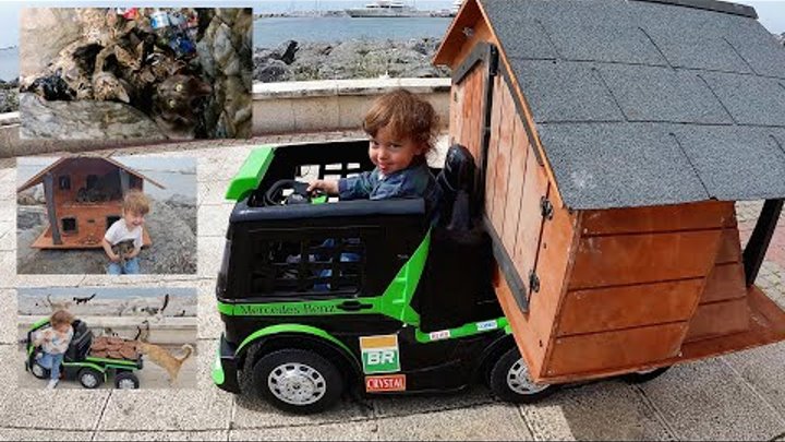 The tiny baby drives his toy truck to help stray cats.