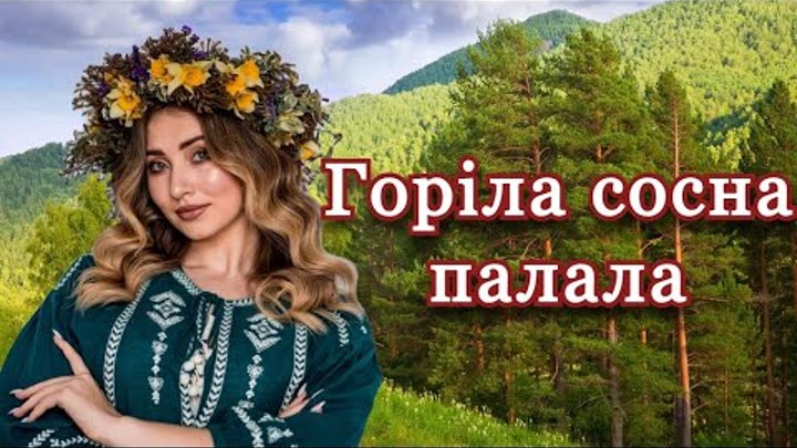 Горіла сосна палала- Українська Народна Пісня