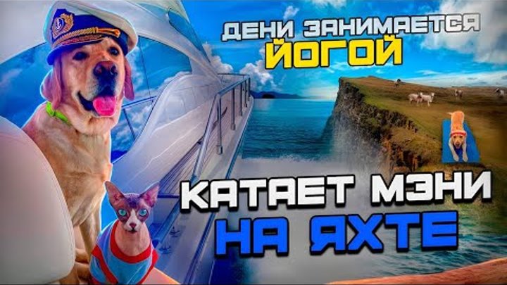 Дени и Мэни впервые в жизни катаются на яхте🛥 Дог-йога в серебряном ...