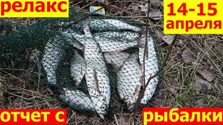 Отчет рыбалка на Десне в апреле 2021 Боденьки Сувид Киевская область ...