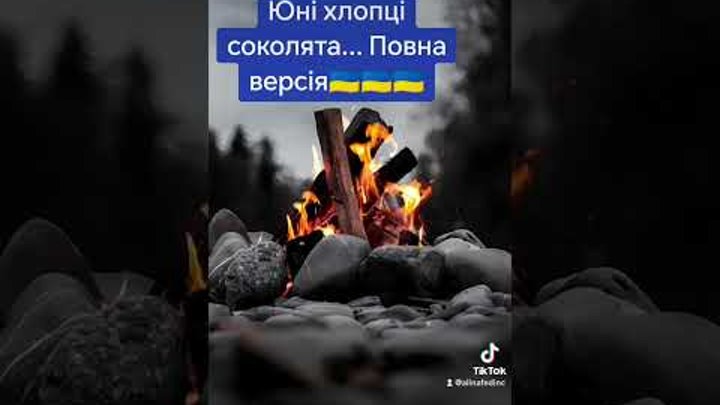 @юні хлопці соколята @пісня війни