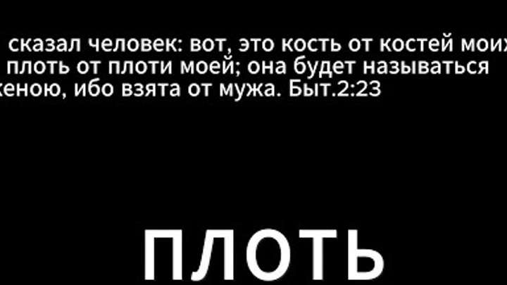 Плоть и тело в понимании Петра Николаевича Касмынина