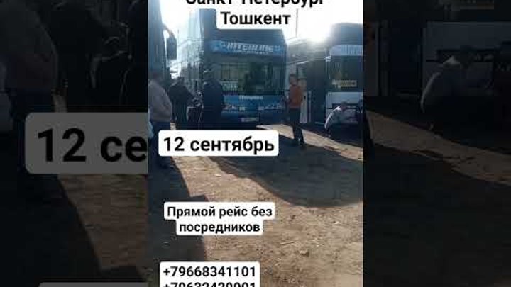 12 сентябрь Москва Тошкент автобус #москва #avtobus #автобус