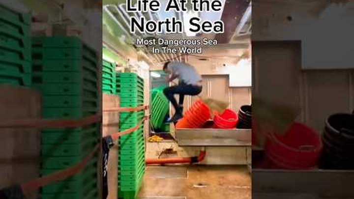 How life is at the North Sea #northsea #waves #ship