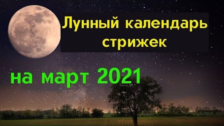 Астросфера лунный календарь стрижек 2025