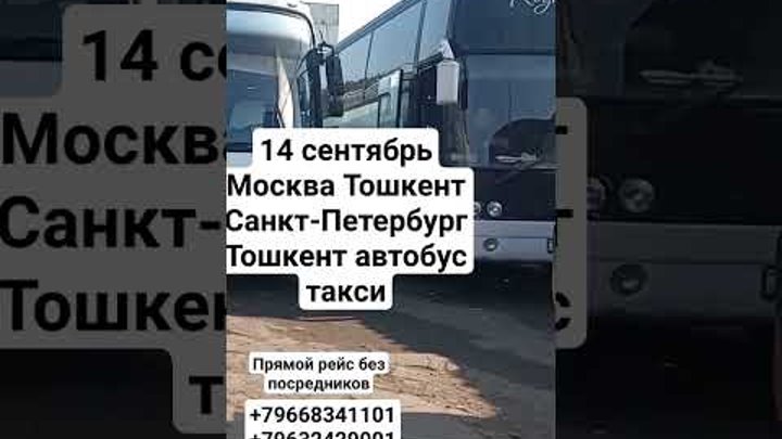 #москва #ташкент #автобус #taksi Москва Тошкент автобус такси