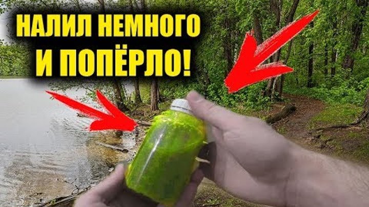 БЕЗОТКАЗНЫЙ АНИС для РЫБАЛКИ! Аттрактант для рыбалки, анис ароматизатор ...