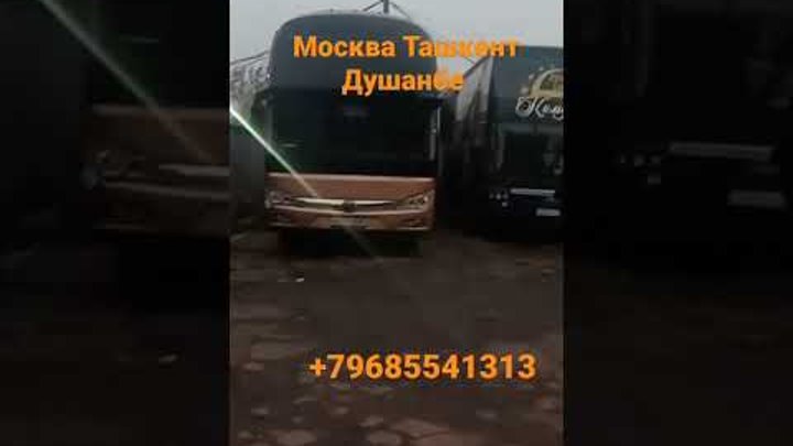 Москва - Ташкент - Душанбе автобус #shorts   #мигранты
