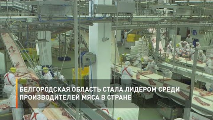 Белгородская область стала лидером среди производителей мяса в стране