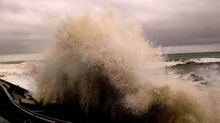 Сколько баллов шторм сегодня в Шепси на черном море