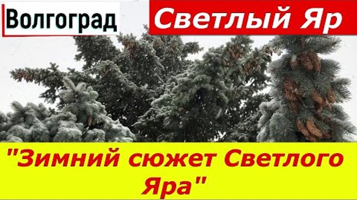 Волгоград.  "Зимний сюжет Светлого Яра."