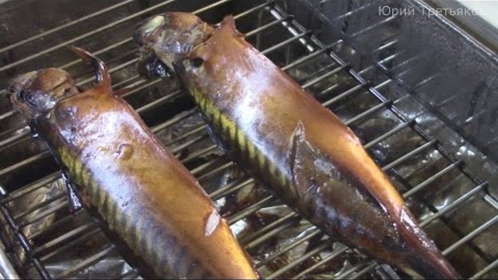 Скумбрия копченая рецепт в коптильне горячего копчения. Скумбрия в коптилке. Скумбрия холодного копчения в коптильне. Скумбрия копченая рецепт в коптильне горячего копчения. Копчёная скумбрия в коптильне.
