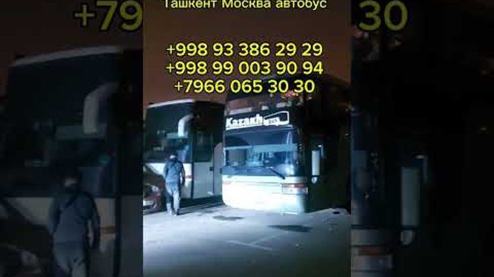 Ташкент Москва автобус